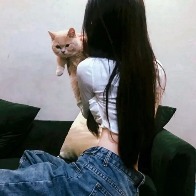 梅费尔行动